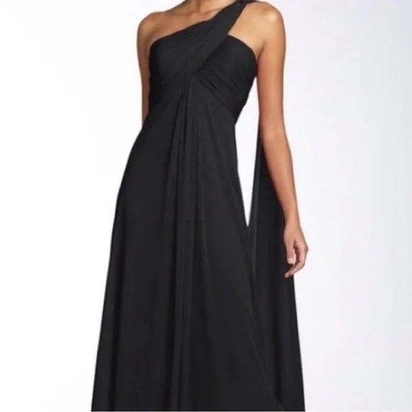 green emerald velvet dress Alex Evenings Long Embroidered A-Line Dress Women's Dress Eggplant : 12